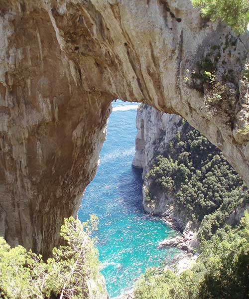 full day tour Capri